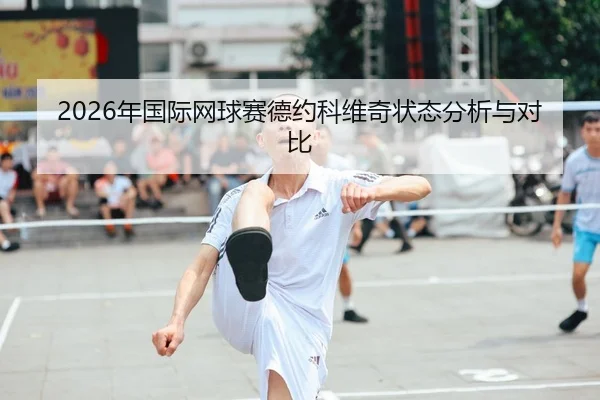 2026年国际网球赛德约科维奇状态分析与对比